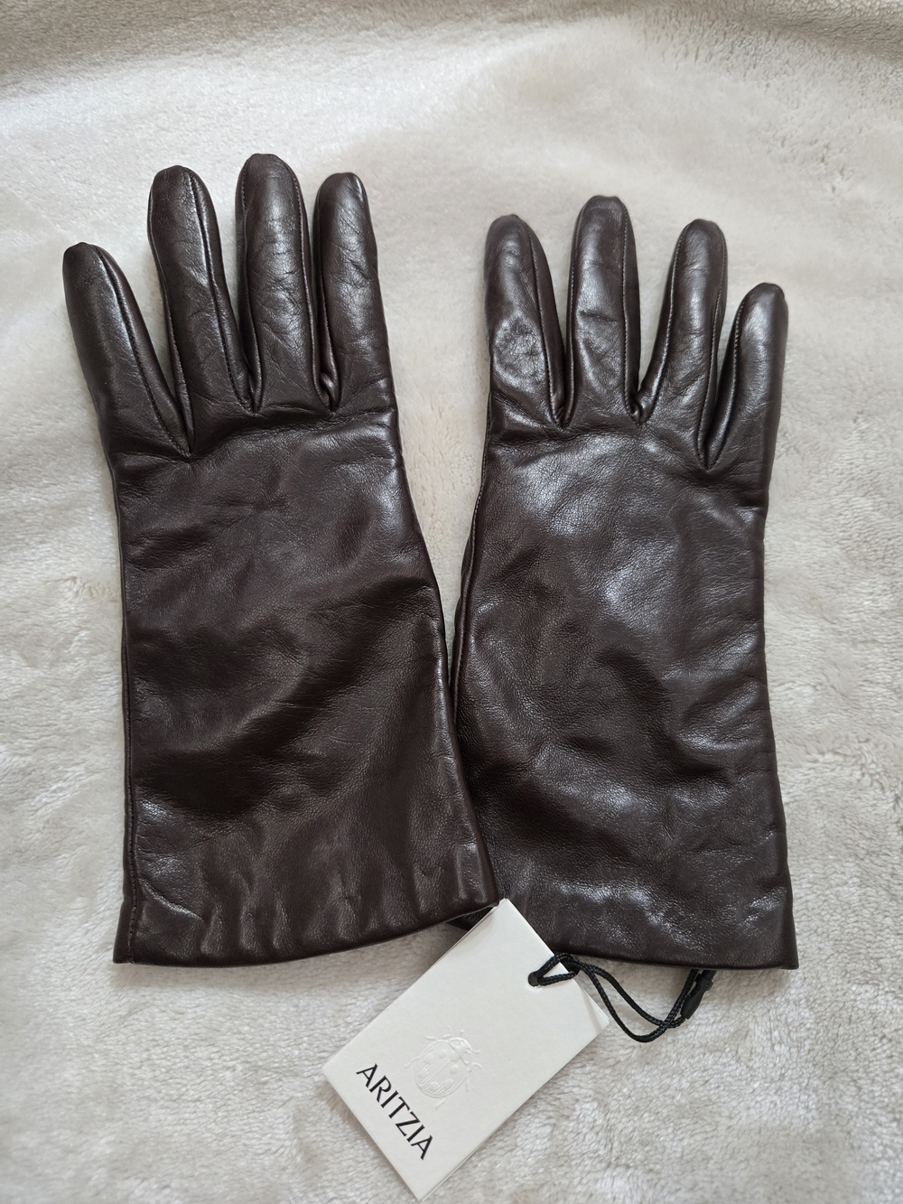 Aritzia Rich Mocha Leather Gloves